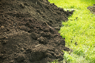 Почвогрунт Почвогрунт